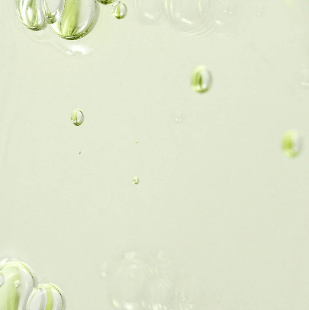 Beauty of Joseon Calming Serum: Green Tea + Panthenol